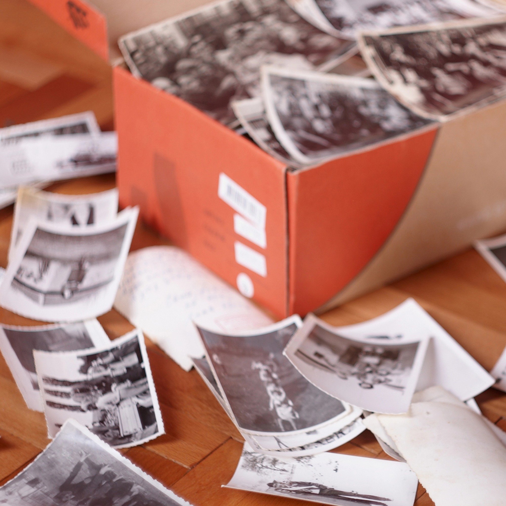 Shoebox of Photos